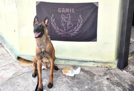 Mulher é presa por tráfico de drogas no interior de Alagoas