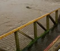 Semarh emite alerta sobre elevação do nível do Rio Mundaú; veja o vídeo