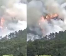 Vídeo. Avião com 132 passageiros cai em área montanhosa na China