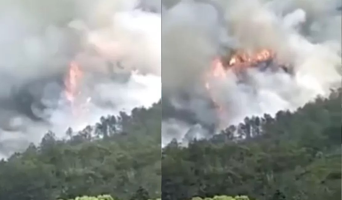 Vídeo. Avião com 132 passageiros cai em área montanhosa na China