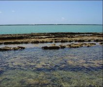 Boato sobre praia de nudismo em Alagoas repercute nas redes sociais