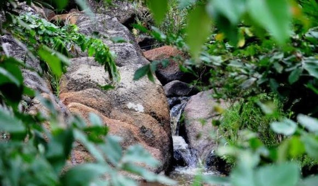 Alagoas sedia encontro nacional de bacias hidrográficas até o dia 28 deste mês