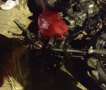 Motocicleta colide contra cavalo e duas pessoas ficam feridas, em Arapiraca