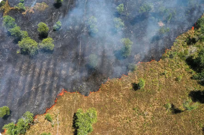 Desmatamento na Amazônia atinge menor nível desde 1985, quando série histórica teve início, aponta MapBiomas