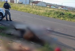 Motociclista morre ao atingir cavalo enquanto retornava do Forró das Velhas', em Arapiraca