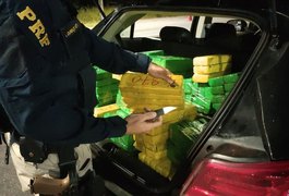 Quase 170 kg maconha que seguiam para Alagoas são apreendidos em Sergipe