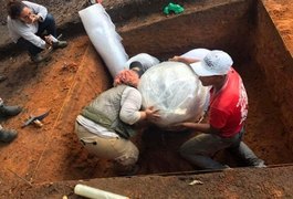 Arqueólogos encontram urna funerária indígena de mil anos na Zona da Mata