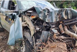 Homem perde controle do veículo, bate carro em árvore e fica ferido em rodovia alagoana