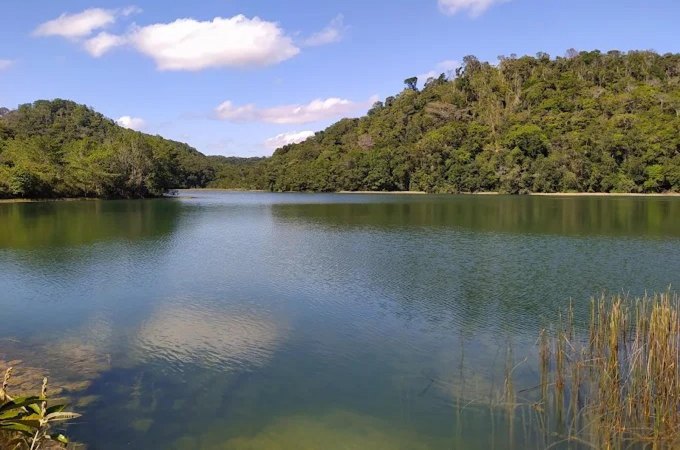 APA do Catolé sofre invasões, e Casal emite alerta ambiental