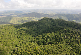 Alagoas tem o menor índice de desmatamento do Nordeste