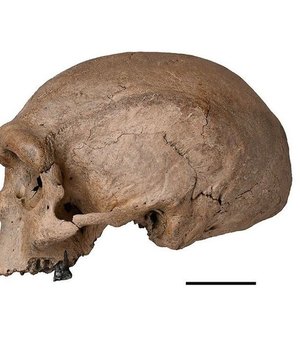 Arqueólogos descobrem fóssil de espécie mais próxima ao Homo sapiens