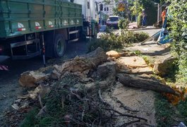 Fortes ventos de ciclone causam duas mortes em SP