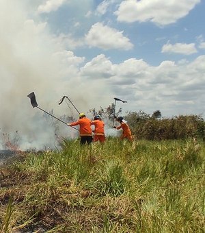 Bombeiros controlam incêndio que atingiu área de pasto na zona rural de Craíbas