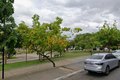 Panela no fogo ocasiona princípio de incêndio em quiosque na Praça Ceci Cunha