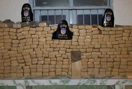 Polícia encontra 200 kg de maconha enterrados em uma mata na grota da Goiabeira