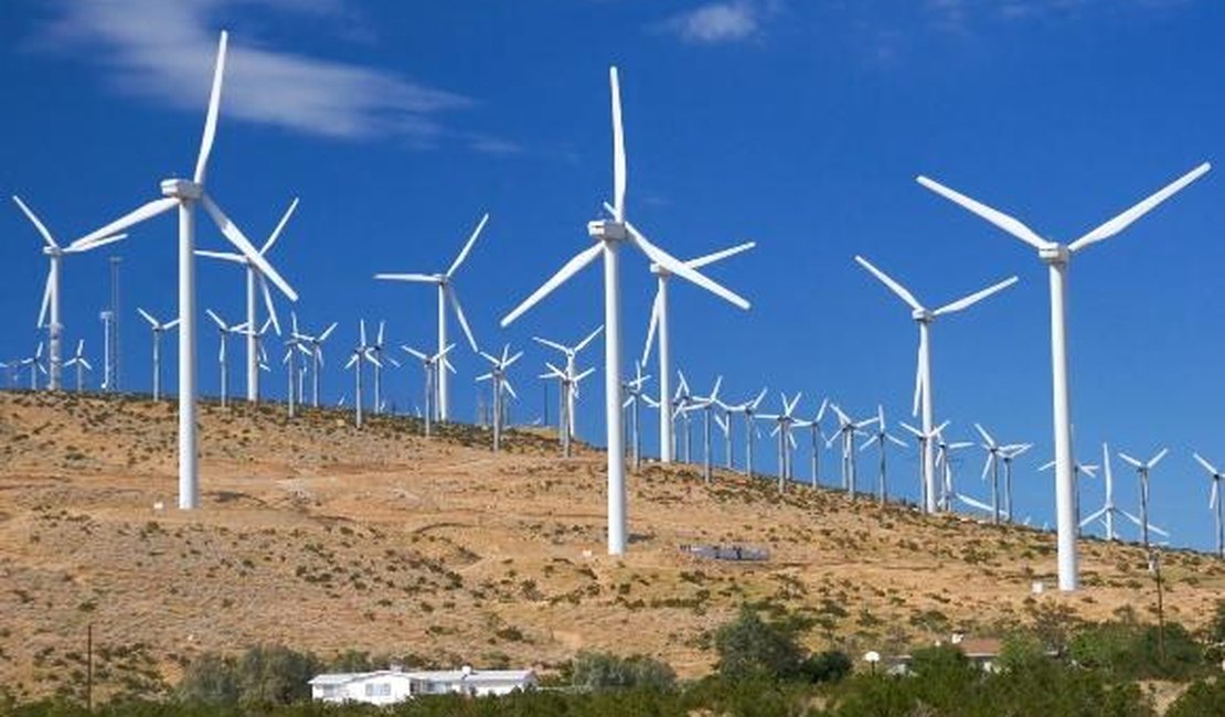 Energia eólica pode ser alternativa produtiva para o Canal do Sertão