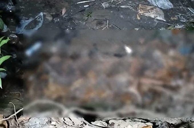 Corpo de homem é encontrado em área de mata em grota de Maceió