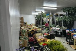 Sefaz encontra R$ 100 mil em flores sem nota fiscal em depósito irregular em Alagoas