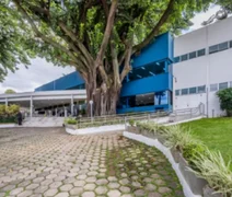 Empresa oferta mais de 500 vagas de emprego em Arapiraca