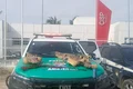 Operação apreende espingarda e peles de jacarés em Piaçabuçu