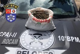 Mais de 2kg de maconha in Natura são apreendidos no interior alagoano