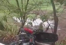 Motociclista morre após perder controle da moto e colidir em árvore na AL-210, entre Viçosa e Paulo Jacinto