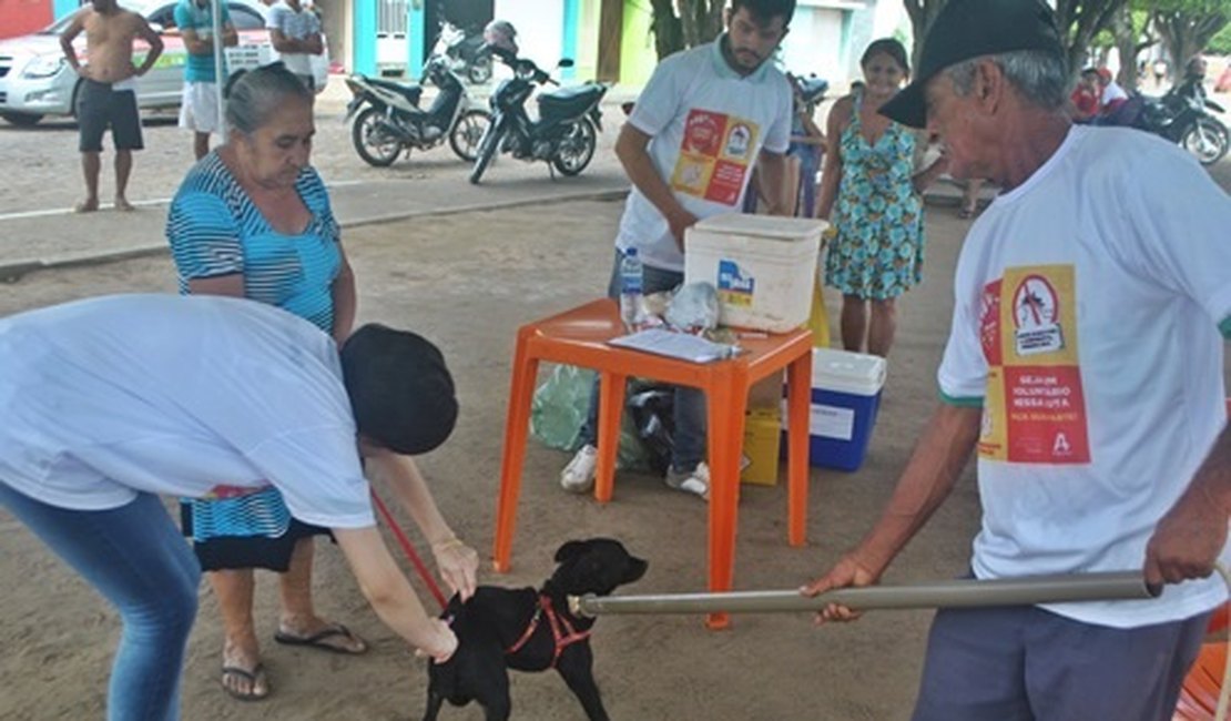 Prefeitura de Arapiraca mantém vacinação antirrábica