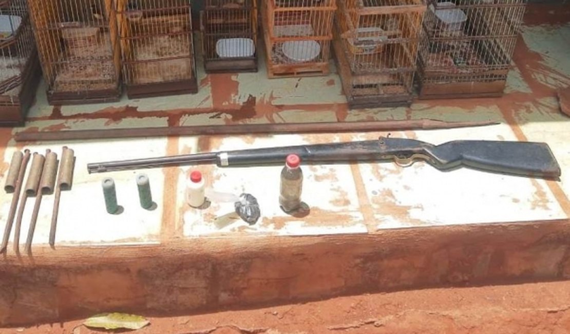 Polícia apreende arma artesanal e pássaros silvestres em Arapiraca