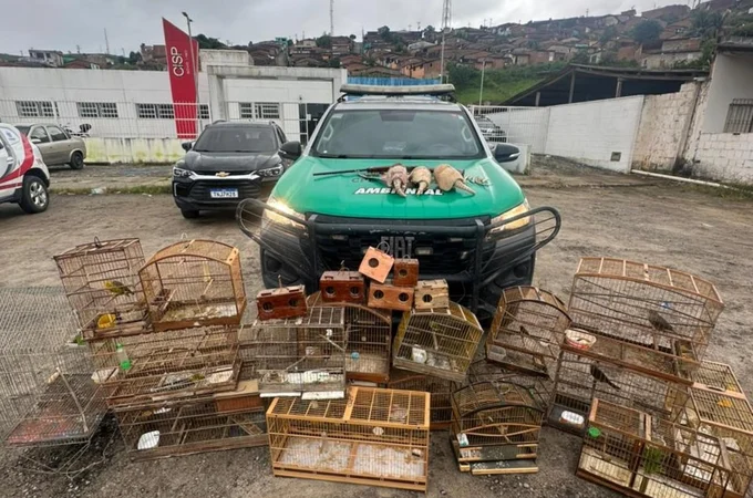 Operação Onda Verde recolhe arma de fogo e mais de 30 animais silvestres no interior alagoano