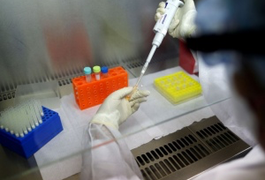 Anvisa permite teste clínico para tratar pneumonia causada por Covid; saiba mais