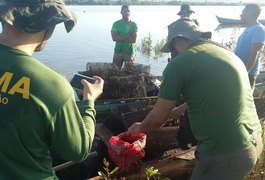 FPI do São Francisco combate pesca predatória e resgata 1.500 espécimes de camarões