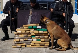 Jovem de 18 anos é preso durante abordagem com mais de 60 quilos de maconha em bagagem, em São Sebastião