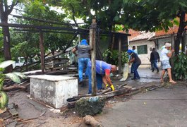 Galinheiro é construído em canteiro de avenida em Maceió