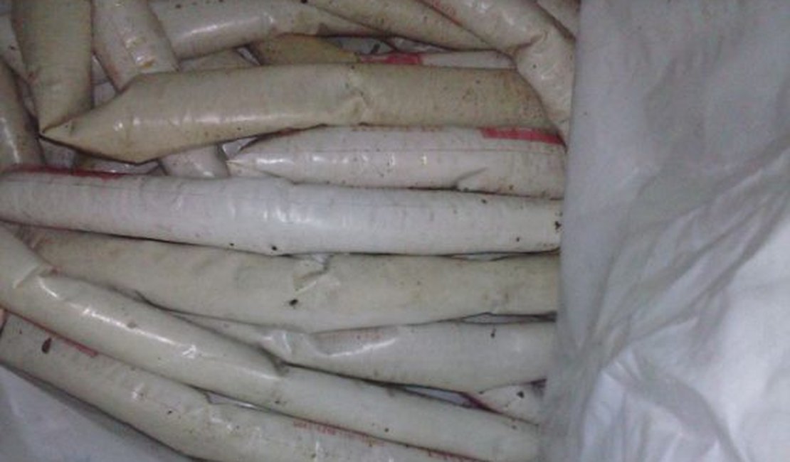 Polícia diz que explosivos achados em Colônia foram comprados pela prefeitura