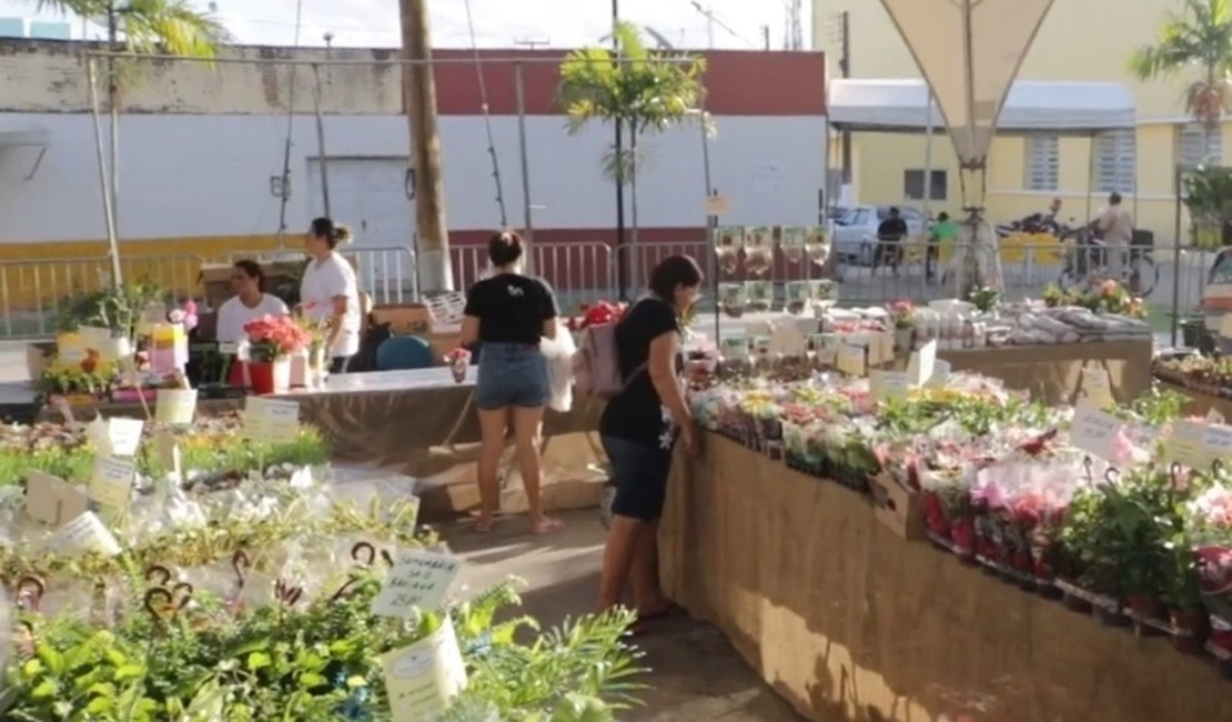 VÍDEO: Feira de Flores e Plantas Ornamentais de Holambra segue em Arapiraca até 23 de maio