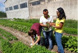 Projeto de hortas de ex-aluna da Uneal faz sucesso em São José da Tapera