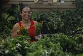 Tradição e fé impulsionam busca por banhos e ervas no fim de ano