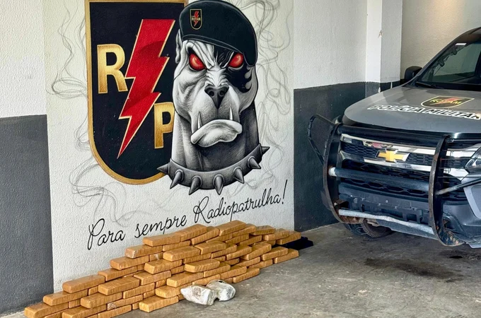 PM apreende quase 80 kg de maconha durante operação em grota de Maceió