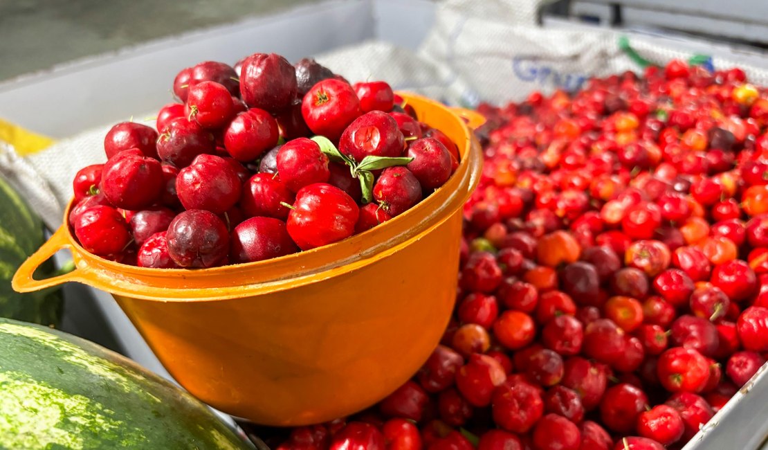 Feira da Agricultura Familiar em Maragogi vai reunir produtores do litoral ao sertão alagoano