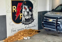 PM apreende quase 80 kg de maconha durante operação em grota de Maceió