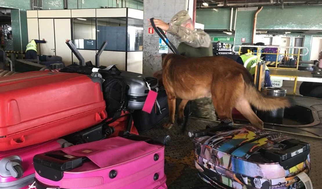 Operação com cães farejadores busca drogas em bagagens no Aeroporto de Maceió