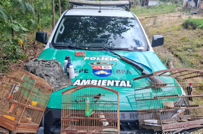 Após denúncia anônima, PM flagra arma e aves silvestres em cativeiro, em Alagoas