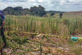 Guarda Civil Municipal encontra corpo após denuncias no interior de AL