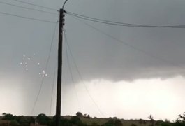 Forte ventania derruba fios de poste e vegetação acaba pegando fogo em Arapiraca