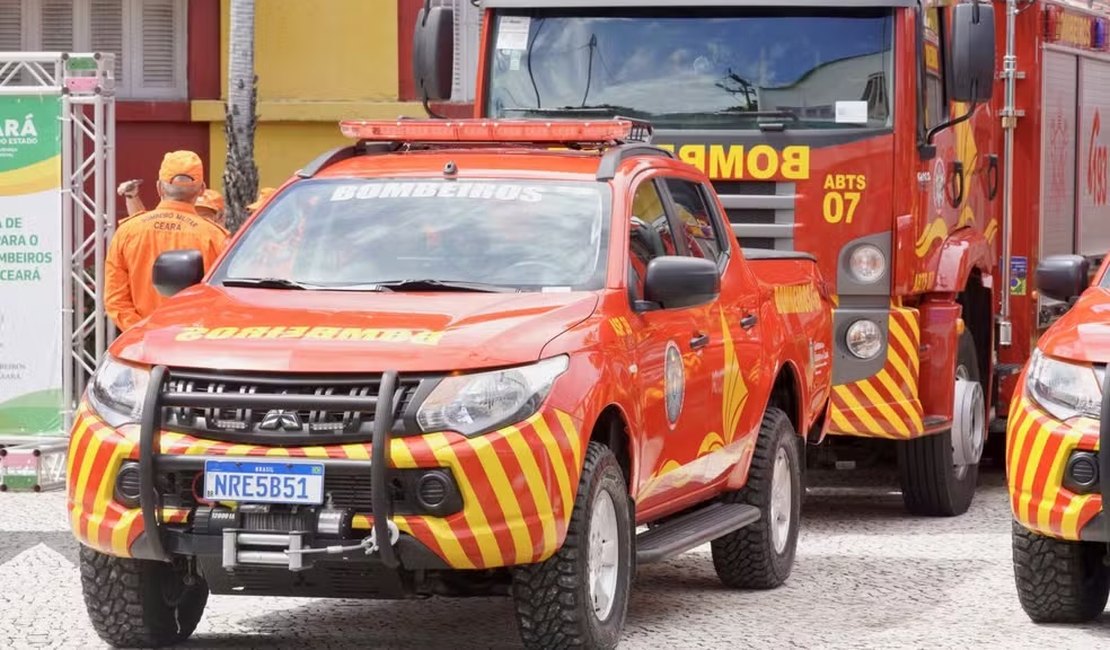 Ataque de abelhas mata quatro cães e deixa idoso ferido em Fortaleza