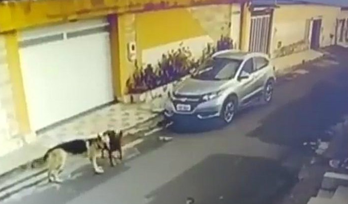 Vídeo: câmeras flagram enfermeira atropelando cachorros no Maranhão