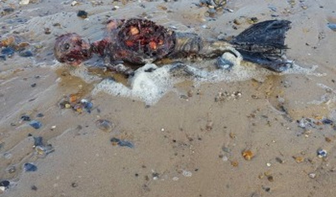 Corpo de ‘sereia’ encontrado em praia na Inglaterra intriga internautas