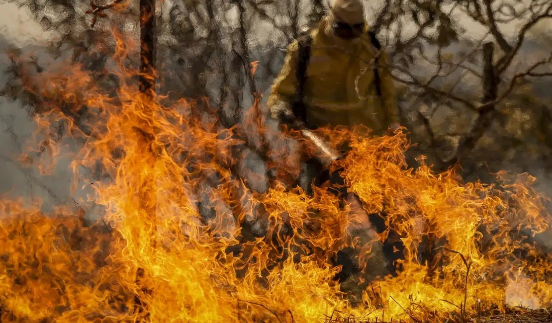 Entenda as linhas de investigação dos incêndios florestais no país