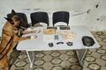 Casal é preso e PM apreende mais de 1 kg de crack e cocaína em Arapiraca