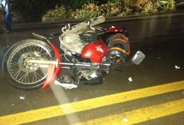 Motociclista bate em cavalo e fica ferido na rodovia AL-115